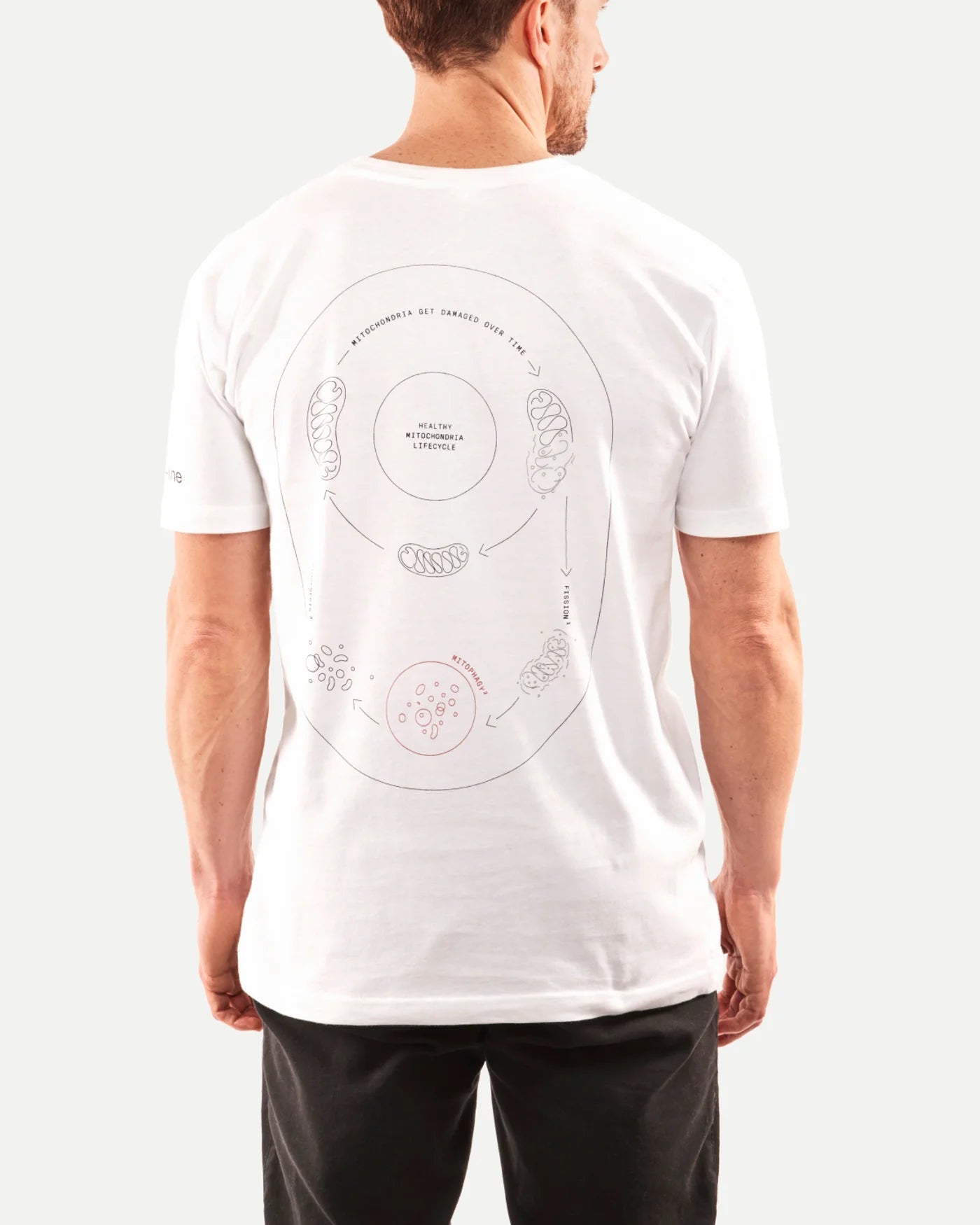 Timeline T-shirt